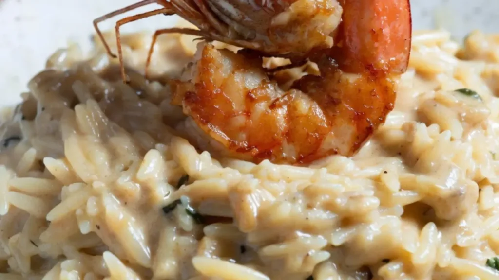Orzo and Shrimp Recipes